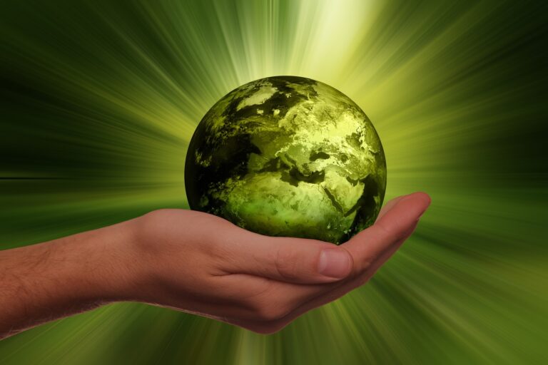 A Sustentabilidade no Século XXI: Desafios e Oportunidades